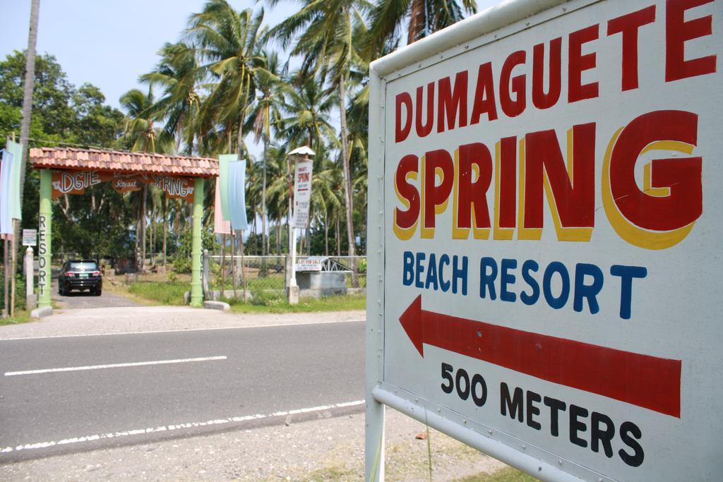 Dumaguete Springs Beach Resort 杜马格特 外观 照片